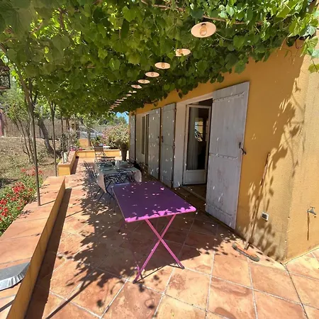 Willa 3 Min, Douche Exterieure, Jardin Le Pradet